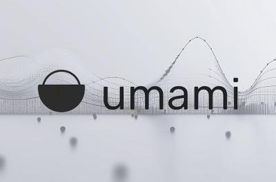 基于Postgresql使用Umami搭建访客观测站